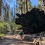  Alta Trail 