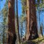  Soldier's Trail 