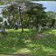 Ho Chi Minh City 2024 - Công viên Tao Đàn, a peaceful and empty park in the middle of Saigon.