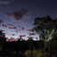 Halls Gap 2024 - Cool change and sunset timelapse at Halls Haven Holiday Units.