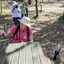 Warrnambool 2024 - Weekly Ludwig family zoom call at a picnic table in the Tower Hill Wildlife Reserve.