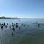  Melbourne, 2 Feb 2024  Women departing on  South Melbourne Life Saving Club's  Port to Pier swim.