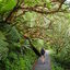 Aotearoa New Zealand 2024 - Key Summit hike, this is the Routeburn Track section.