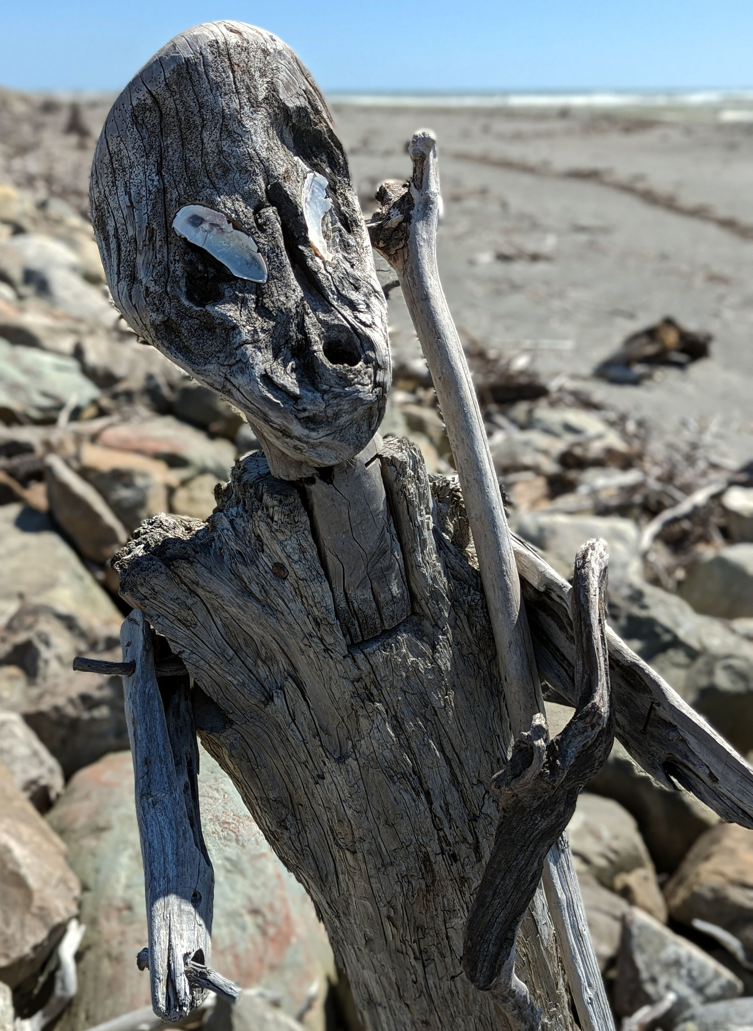  Aotearoa New Zealand, 15 Jan 2024  Driftwood sculpture on the beach at Hokitika.