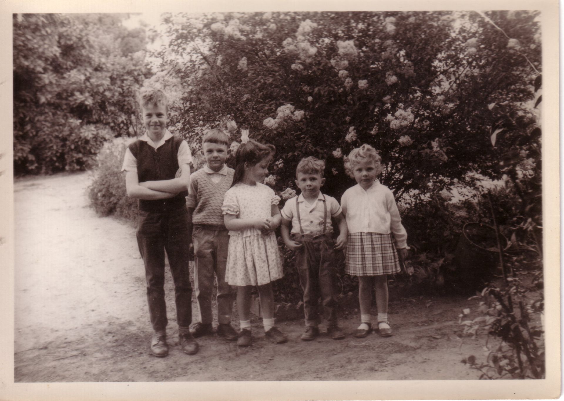 Campbell and Ellis kids, 1960's.