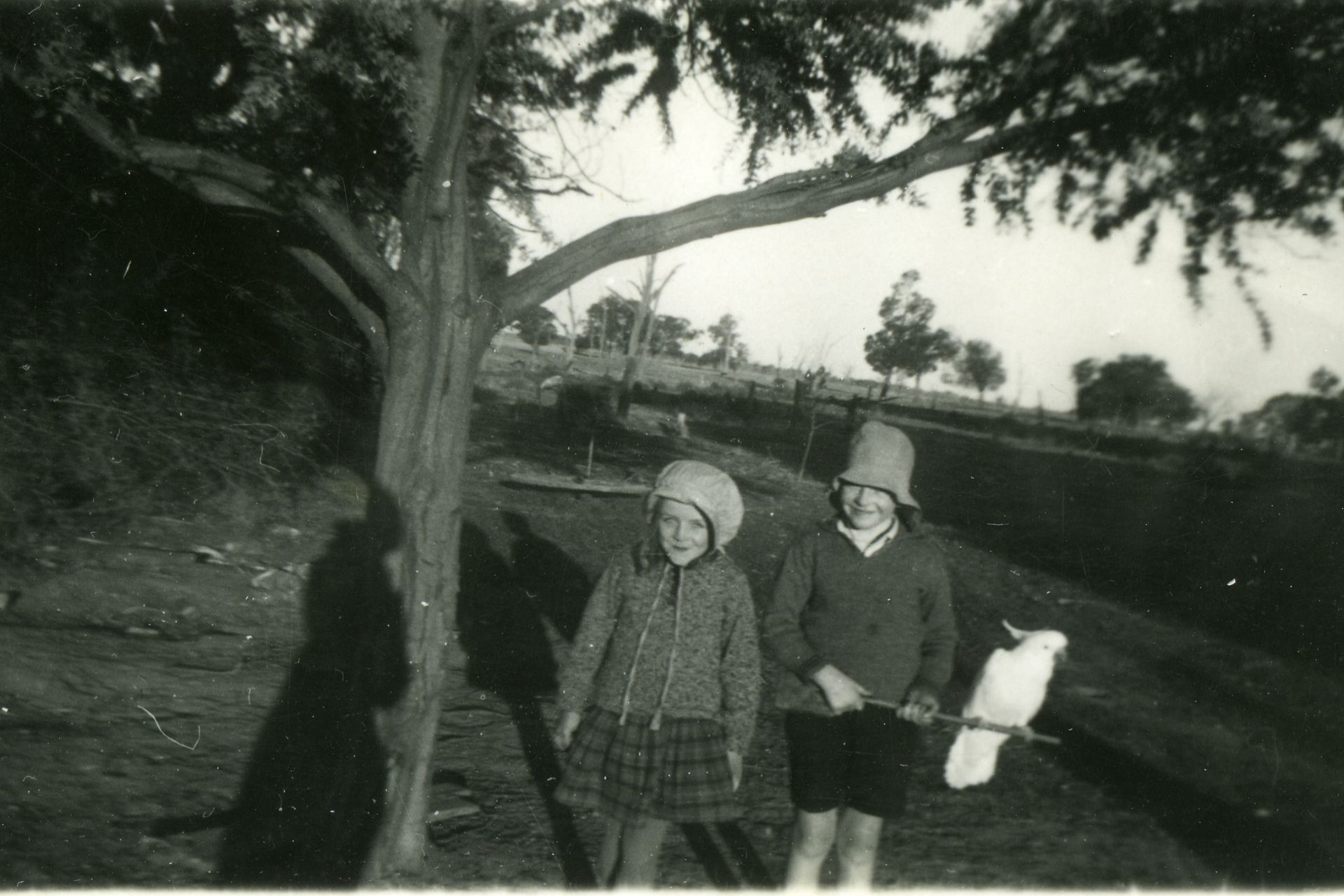 Jill and Barrie Ellis.