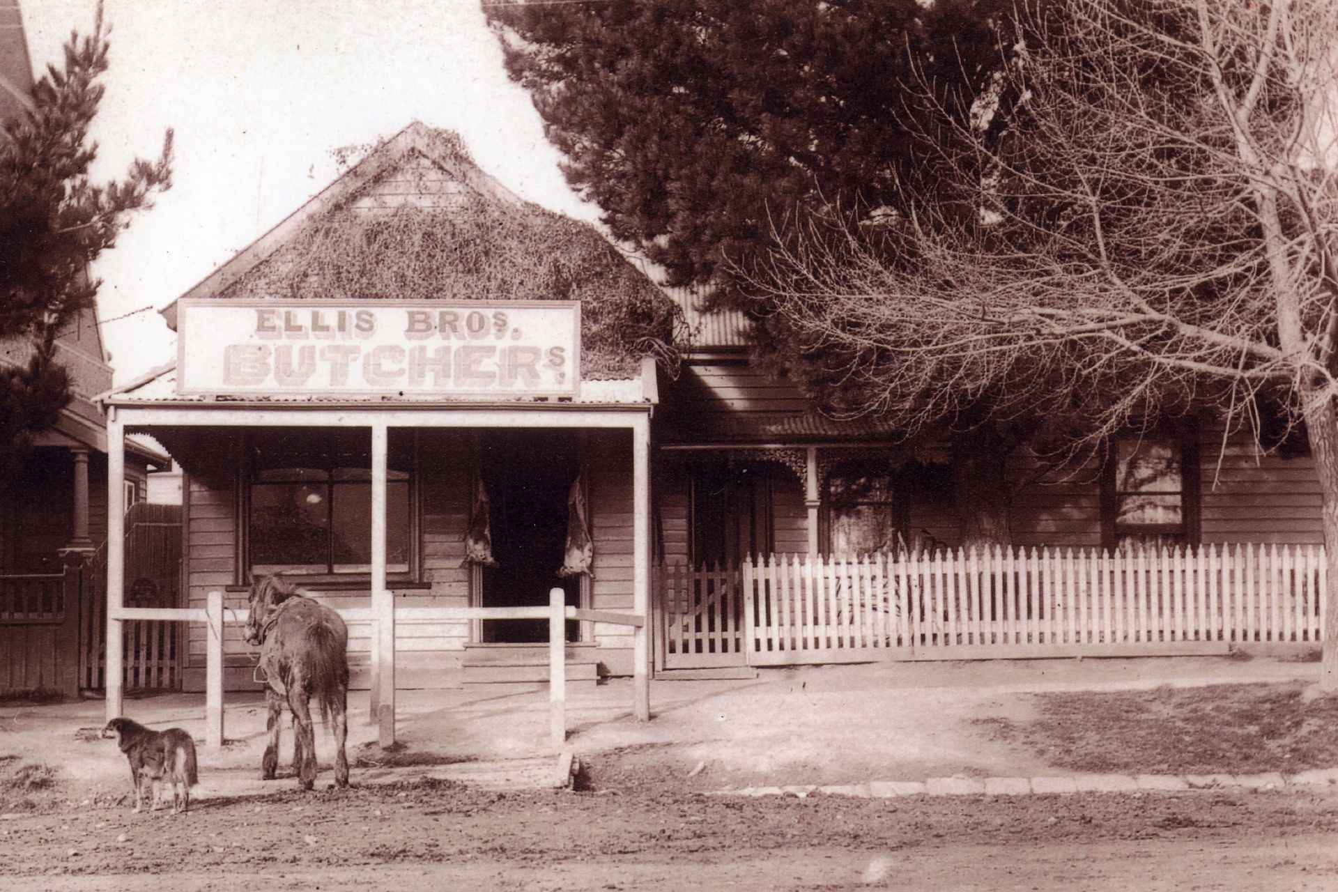 Ellis Brothers Butchers, Loch, Gippsland, Victoria.  1913